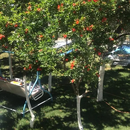 Guneyli גאליפולי