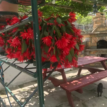 Apartment Guneyli
